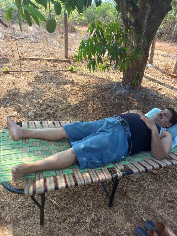 Misty Woods Eco Cottages Harihareshwar المظهر الخارجي الصورة